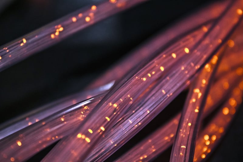 Social Connections